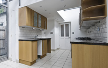 Ballyclare kitchen extension leads
